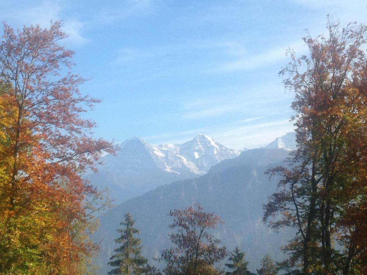 App. Seeblick Top Of Interlaken ベアテンベルク エクステリア 写真