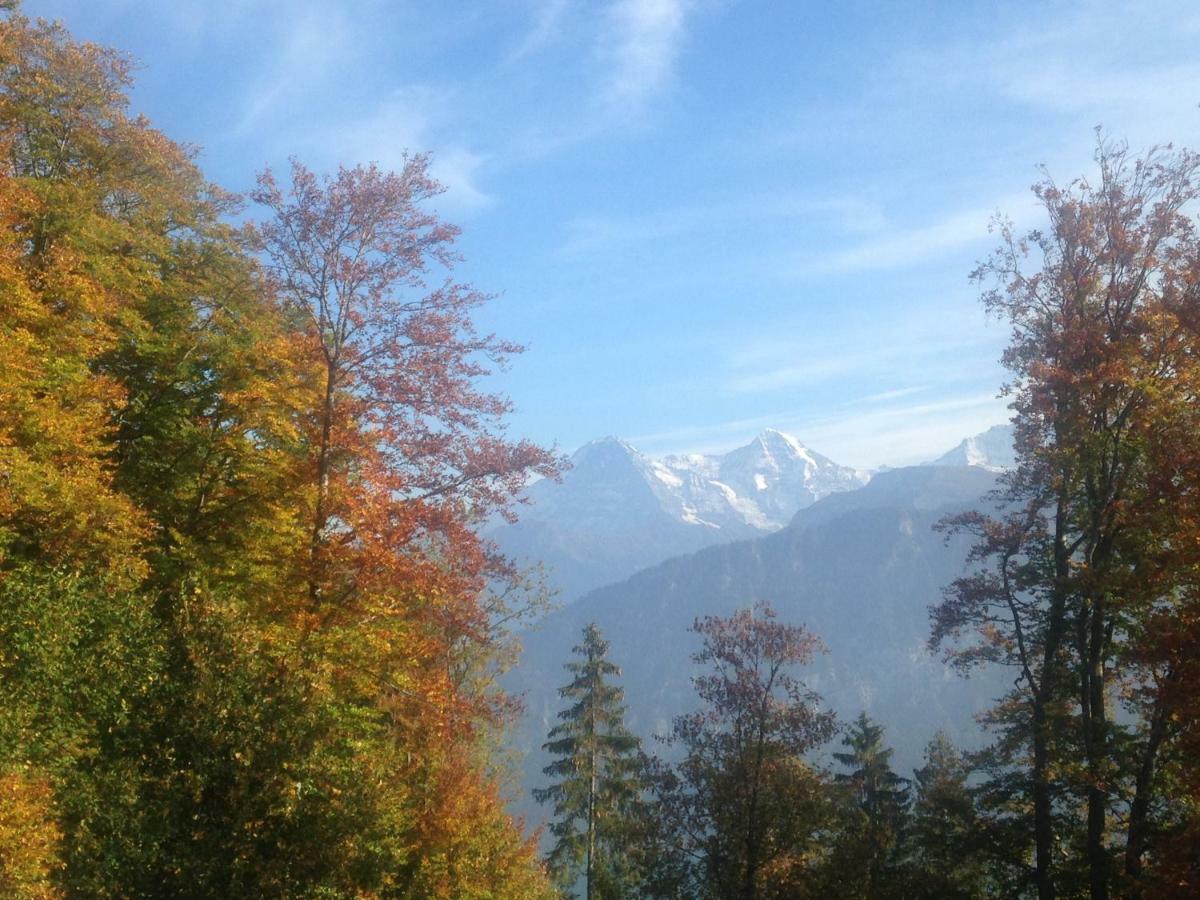 App. Seeblick Top Of Interlaken ベアテンベルク エクステリア 写真