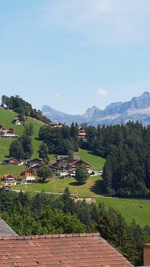 App. Seeblick Top Of Interlaken ベアテンベルク エクステリア 写真